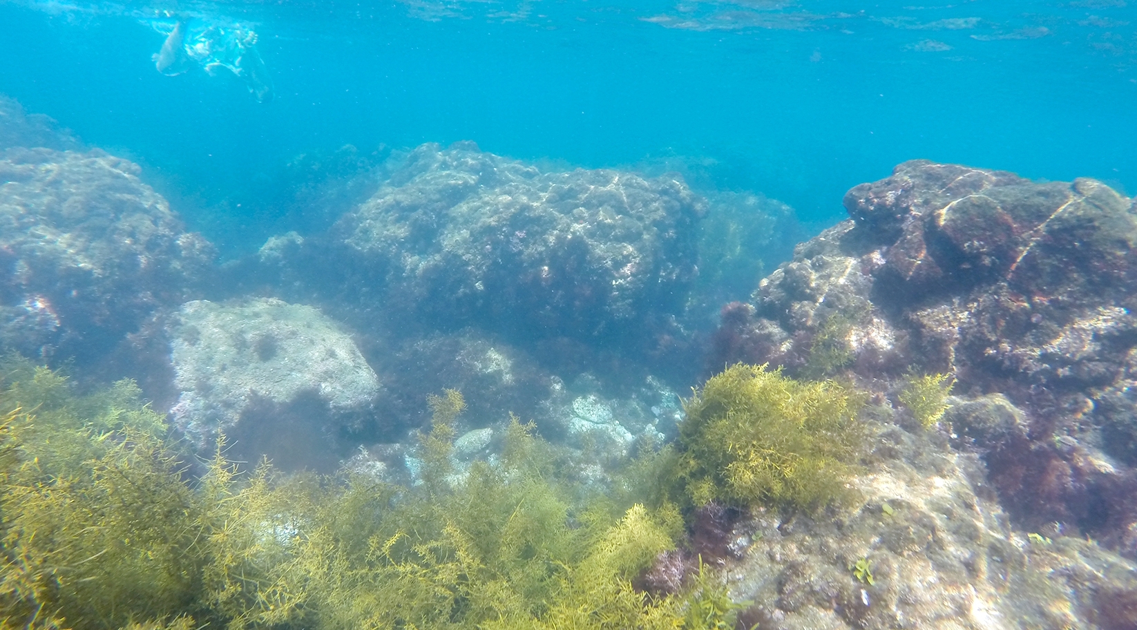 ヒリゾ浜　透明度15メートル　海中写真