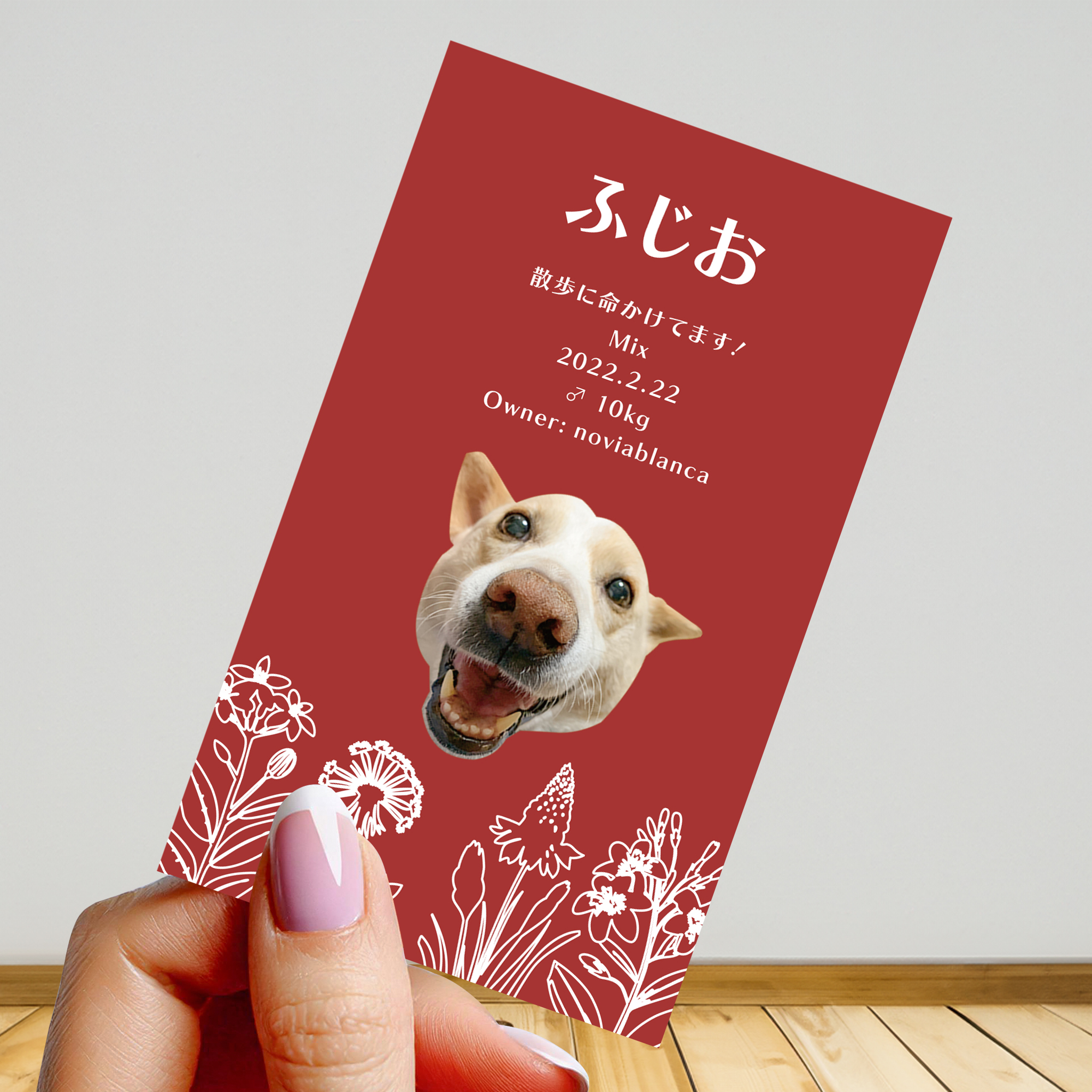 vol.13 うちの子名刺『両面版』 ホワイトラインフラワー