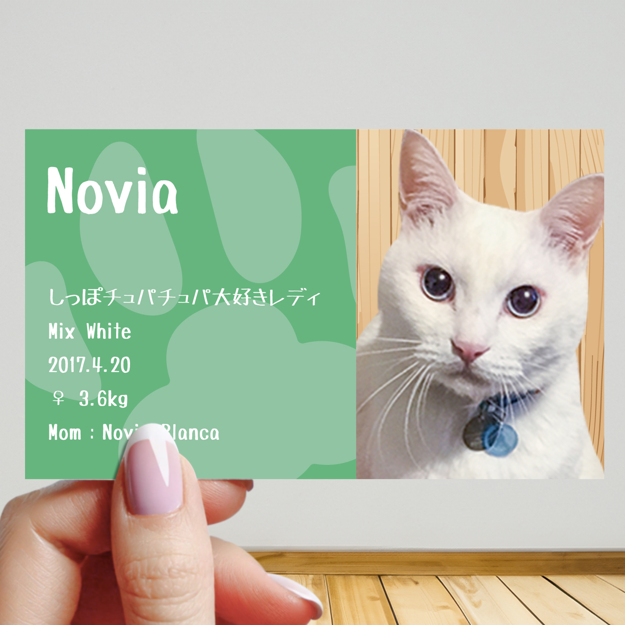 vol.12 うちの子名刺『両面版』 肉球