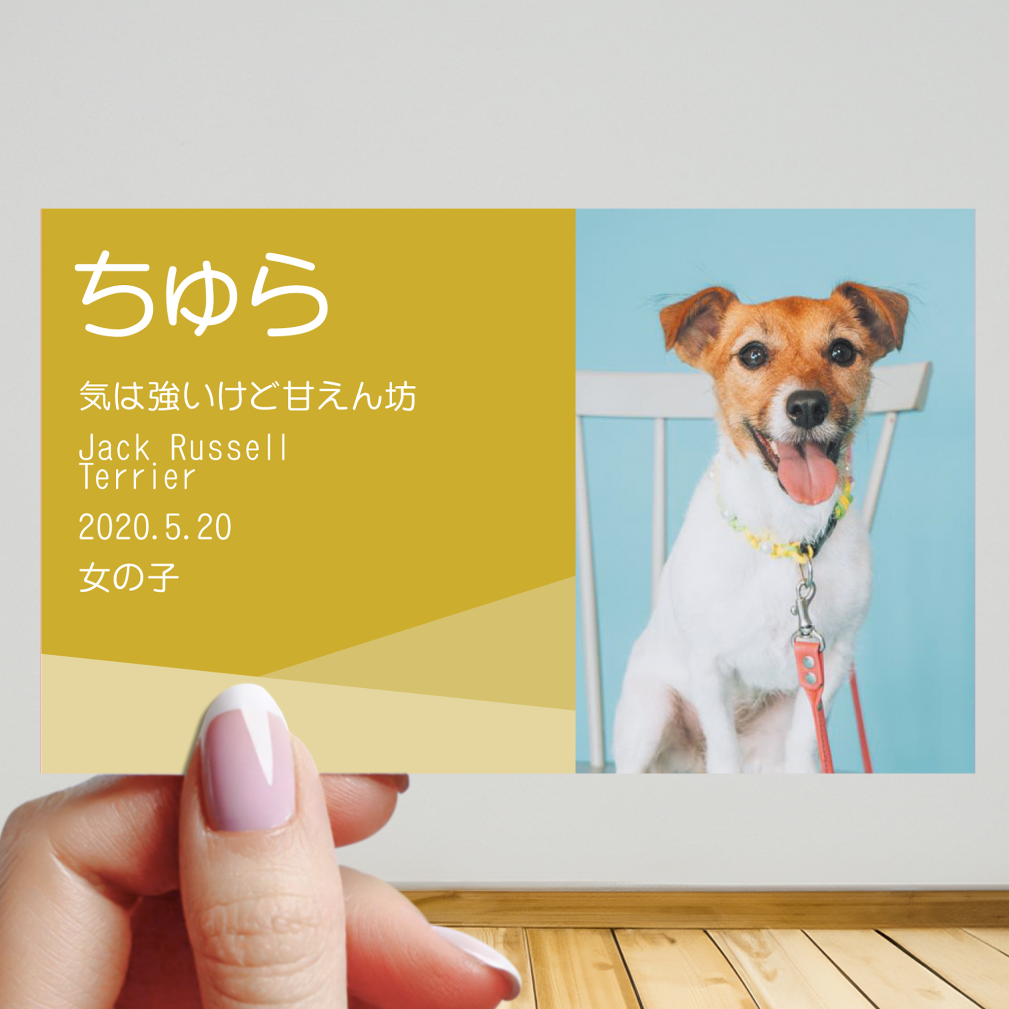 vol.09 うちの子名刺『両面版』 シンプルデザイン no.01